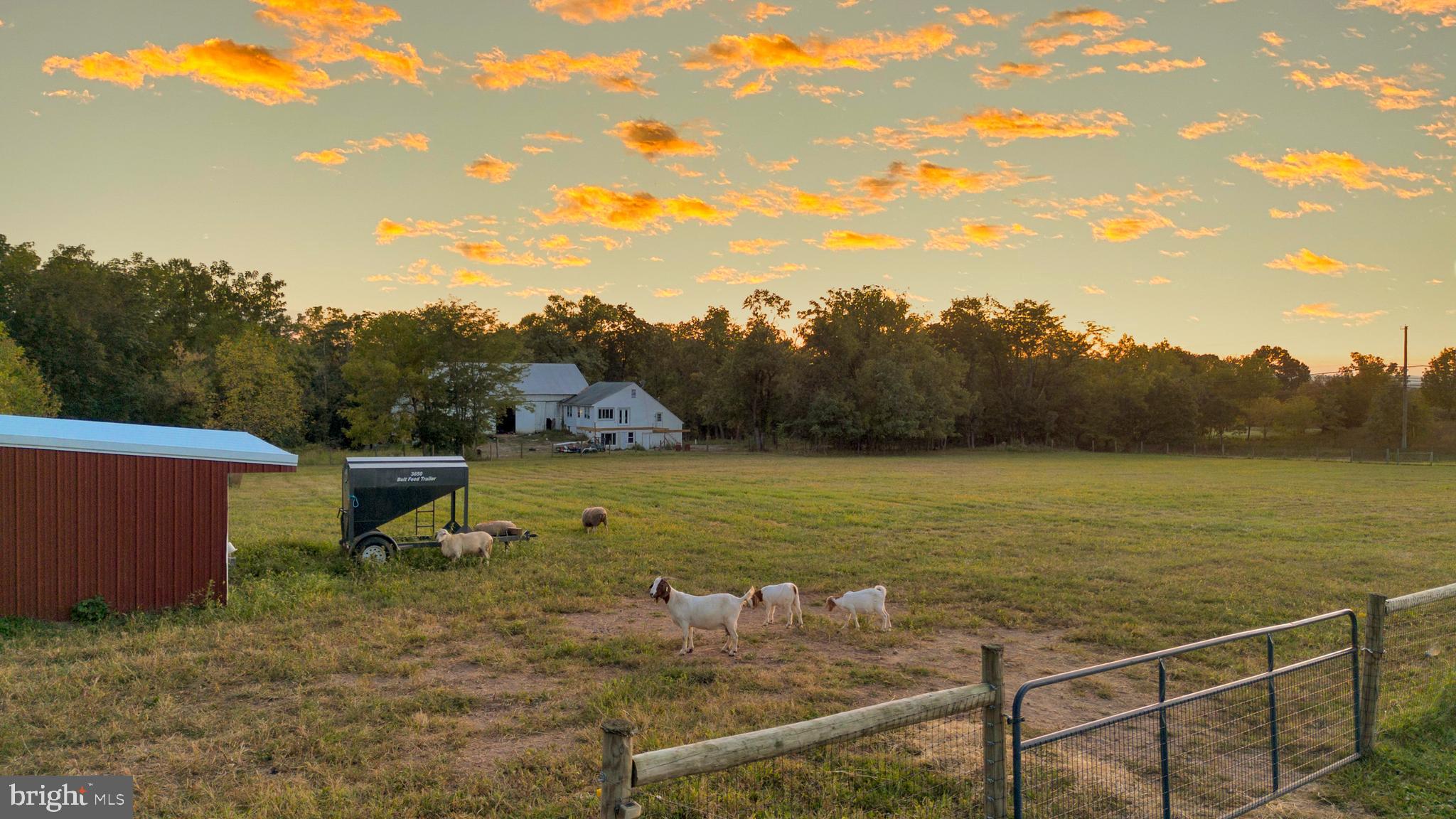 NONE AVAILABLE - Farm