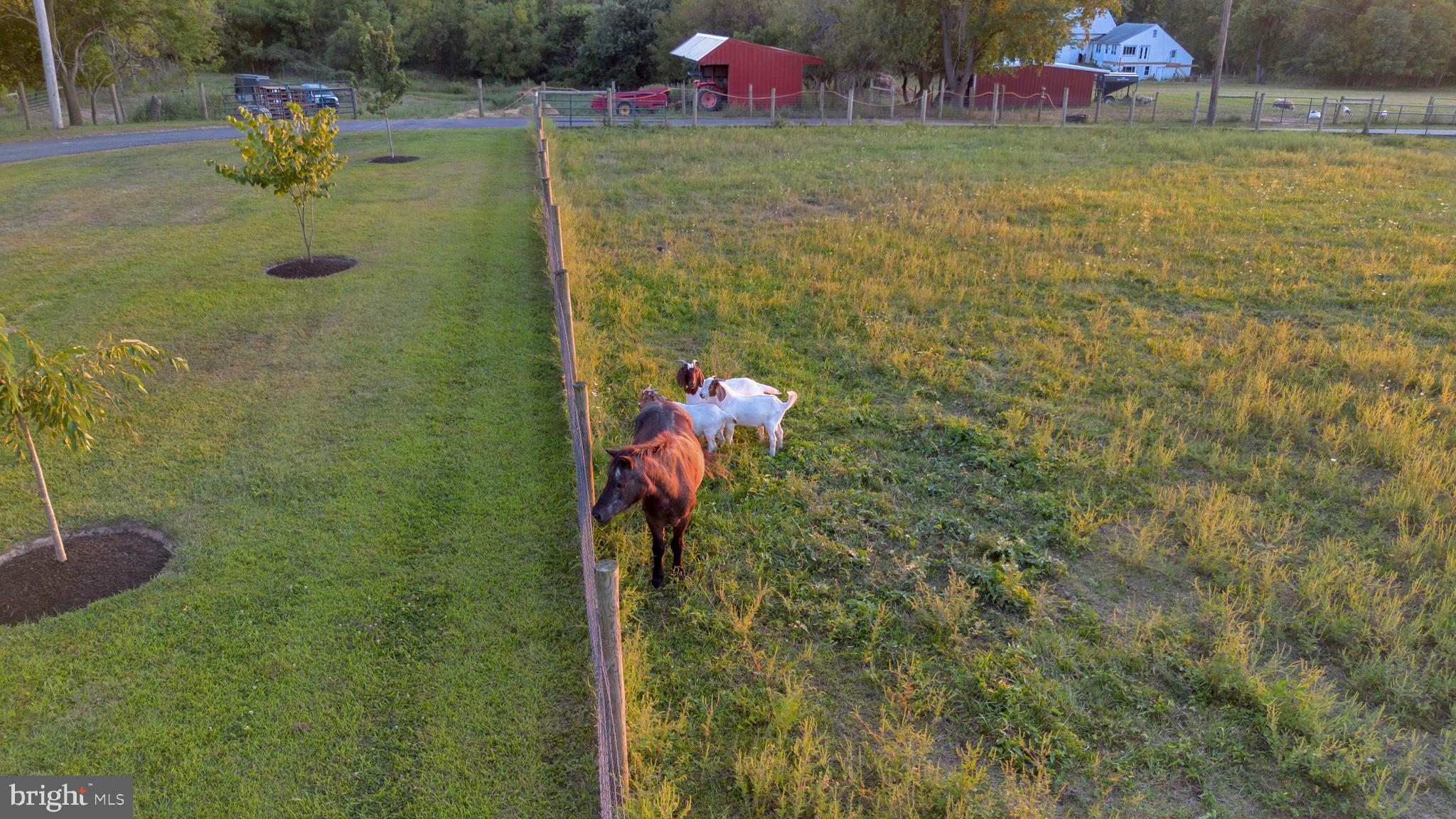 NONE AVAILABLE - Farm