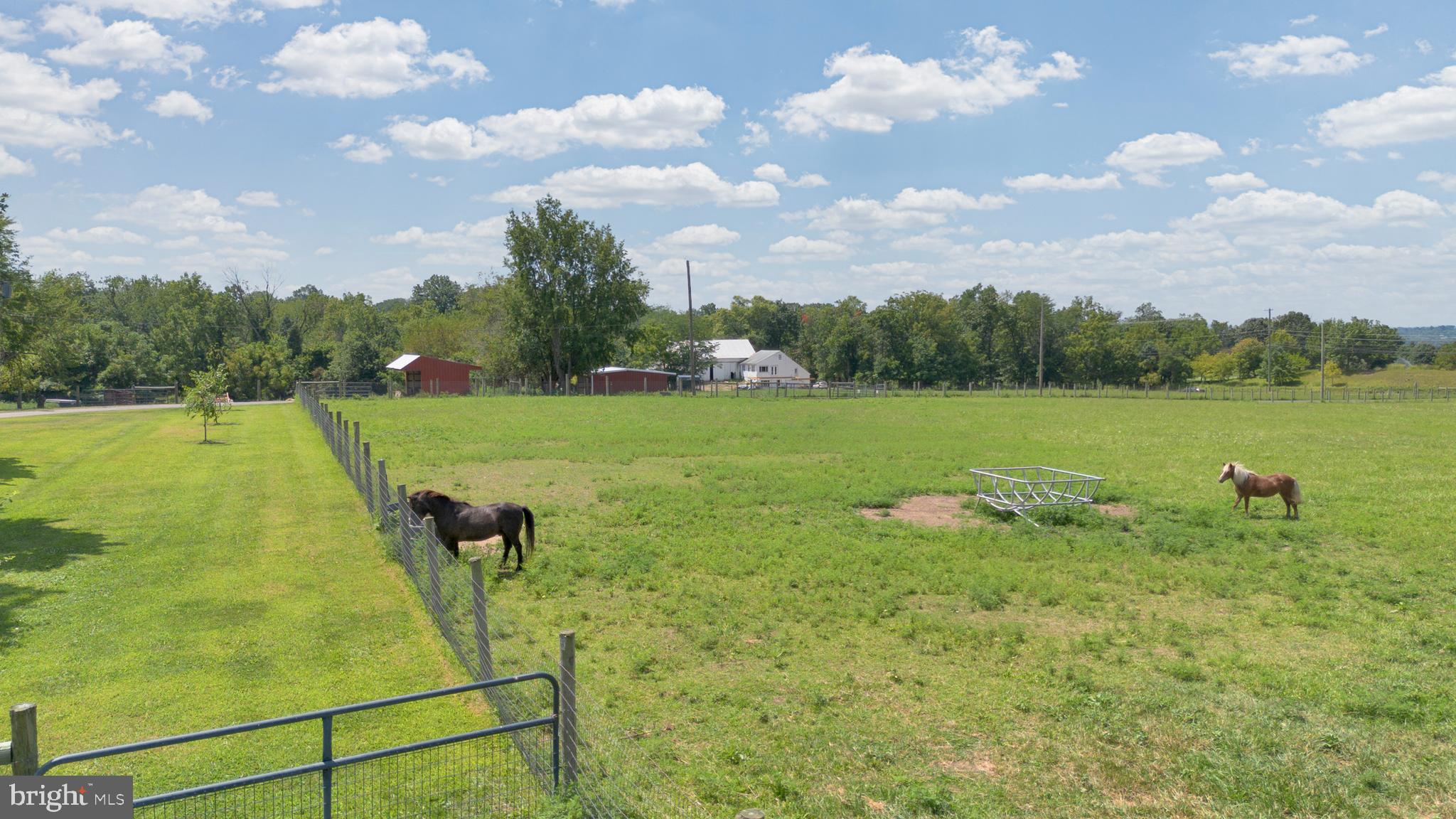 NONE AVAILABLE - Farm