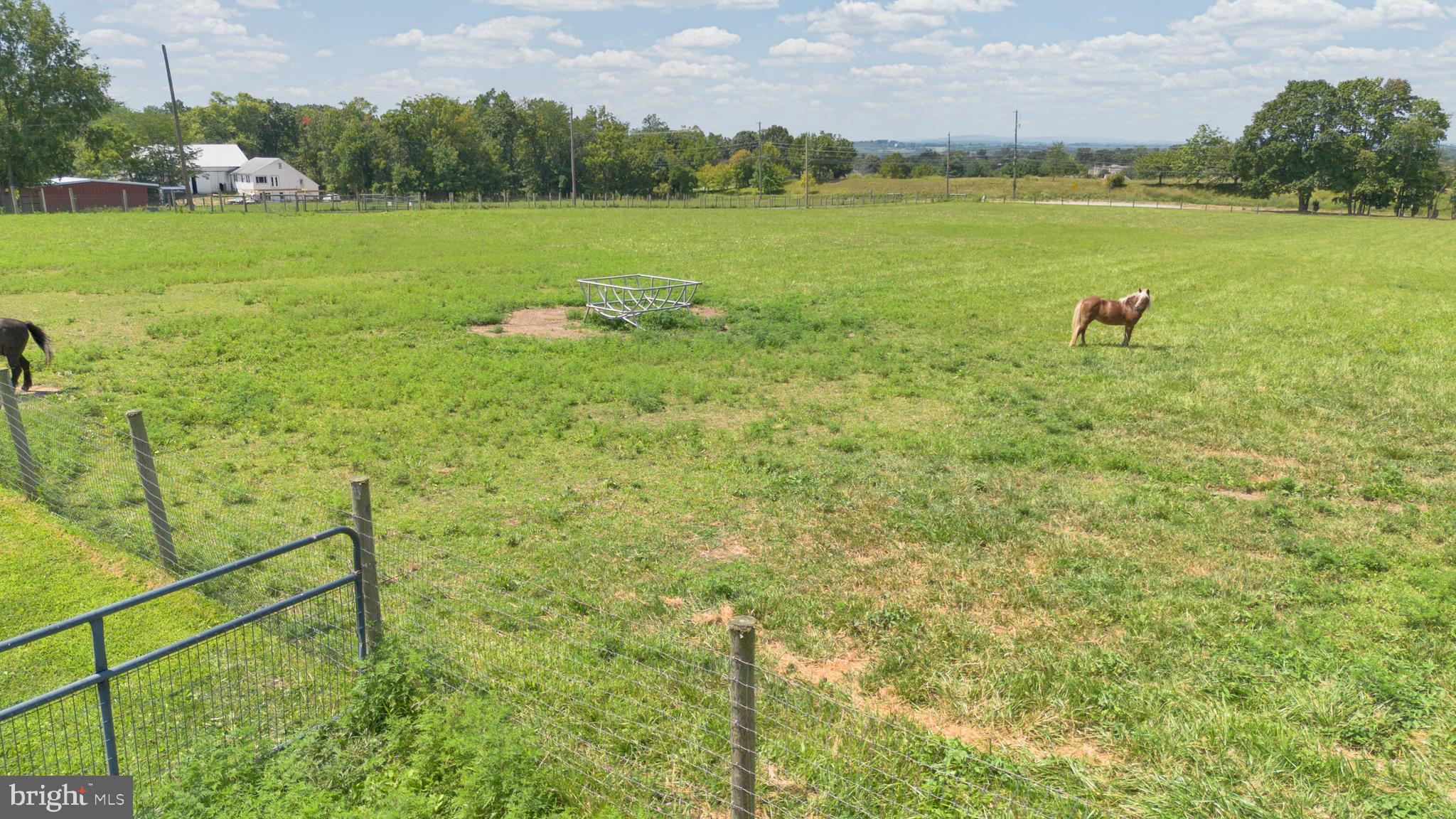 NONE AVAILABLE - Farm