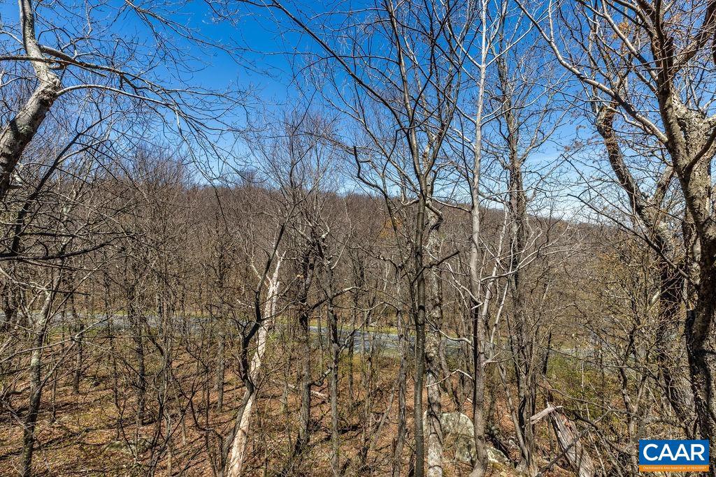 WINTERGREEN RESORT - Residential