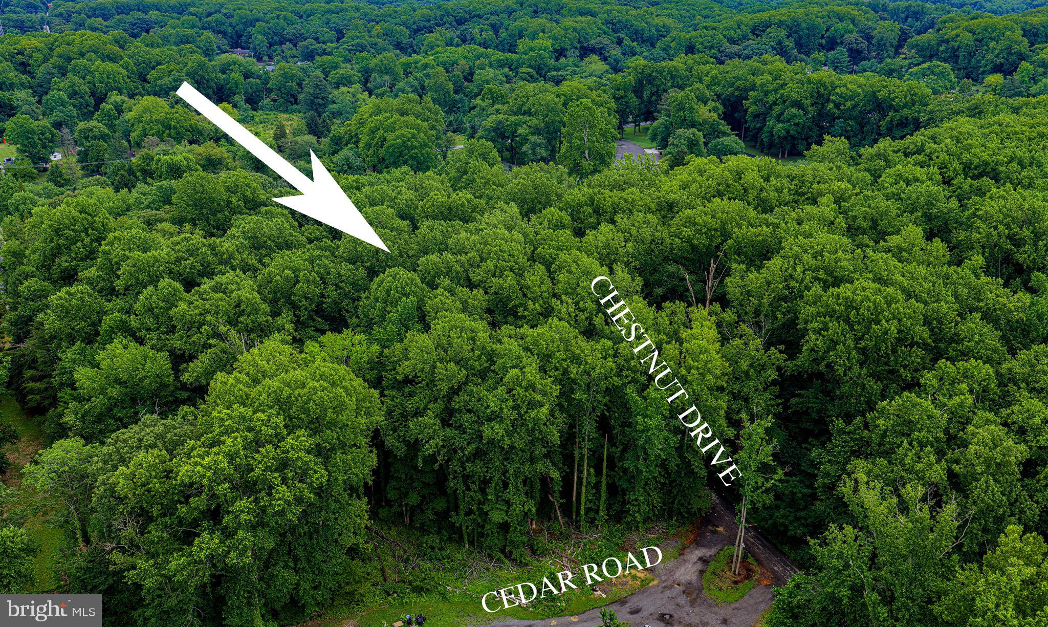 13304 & 11306 CHESTNUT DR AND 6901 CEDAR RD