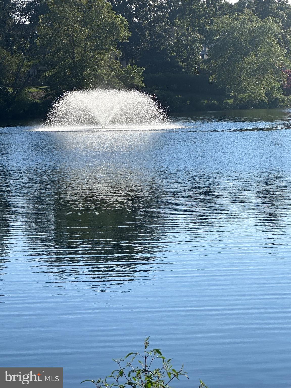 ASHBURN VILLAGE - Residential