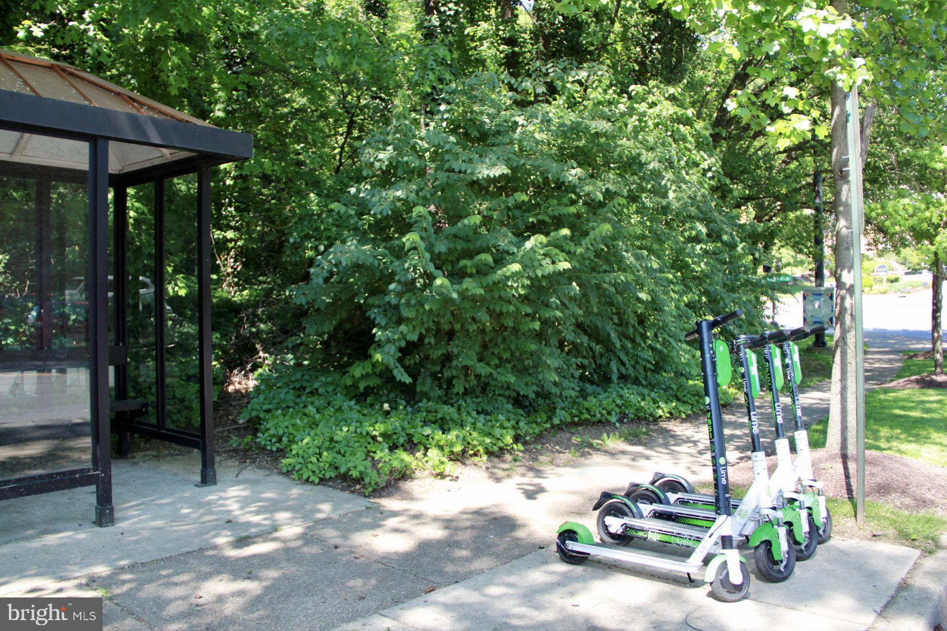 SAXONY SQUARE - Residential