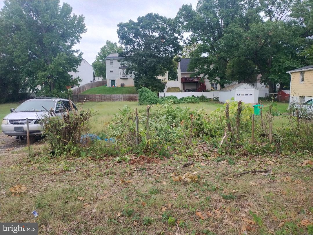 1003 CYPRESSTREE DRIVE