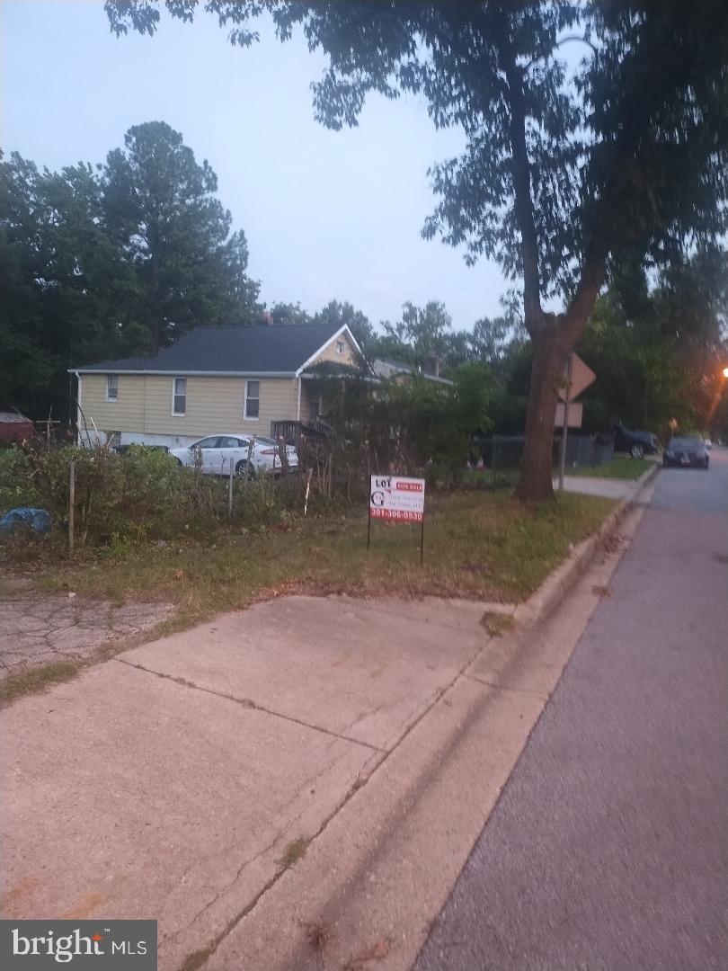 1003 CYPRESSTREE DRIVE