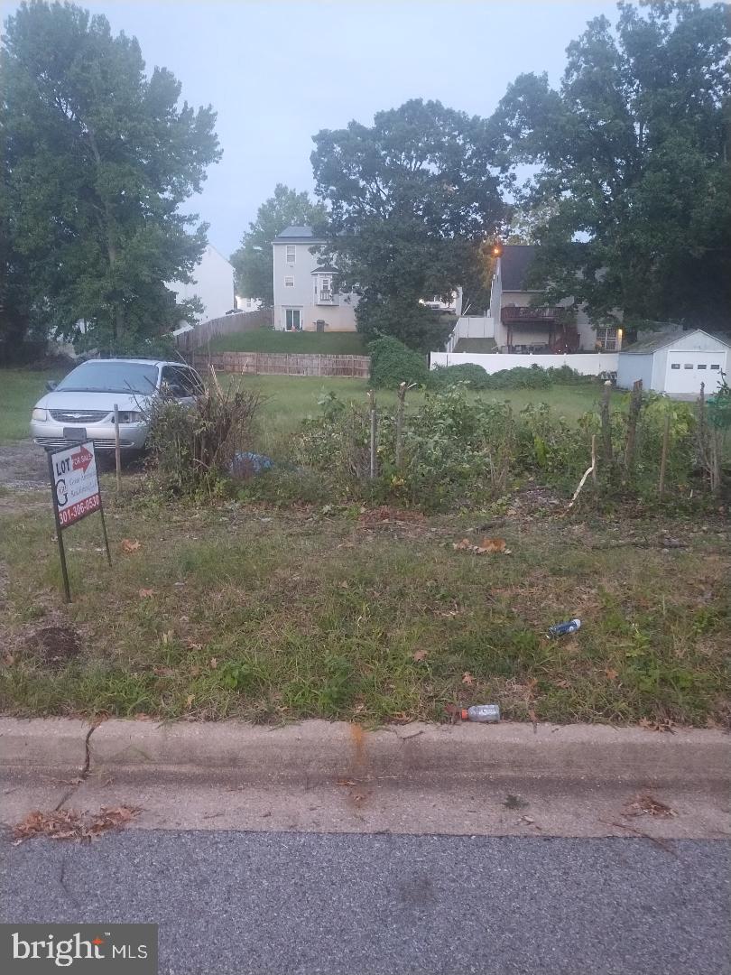 1003 CYPRESSTREE DRIVE