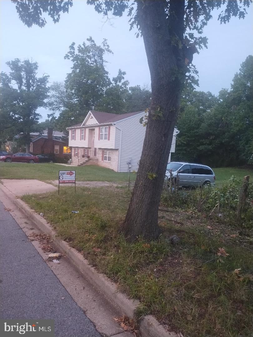 1003 CYPRESSTREE DRIVE