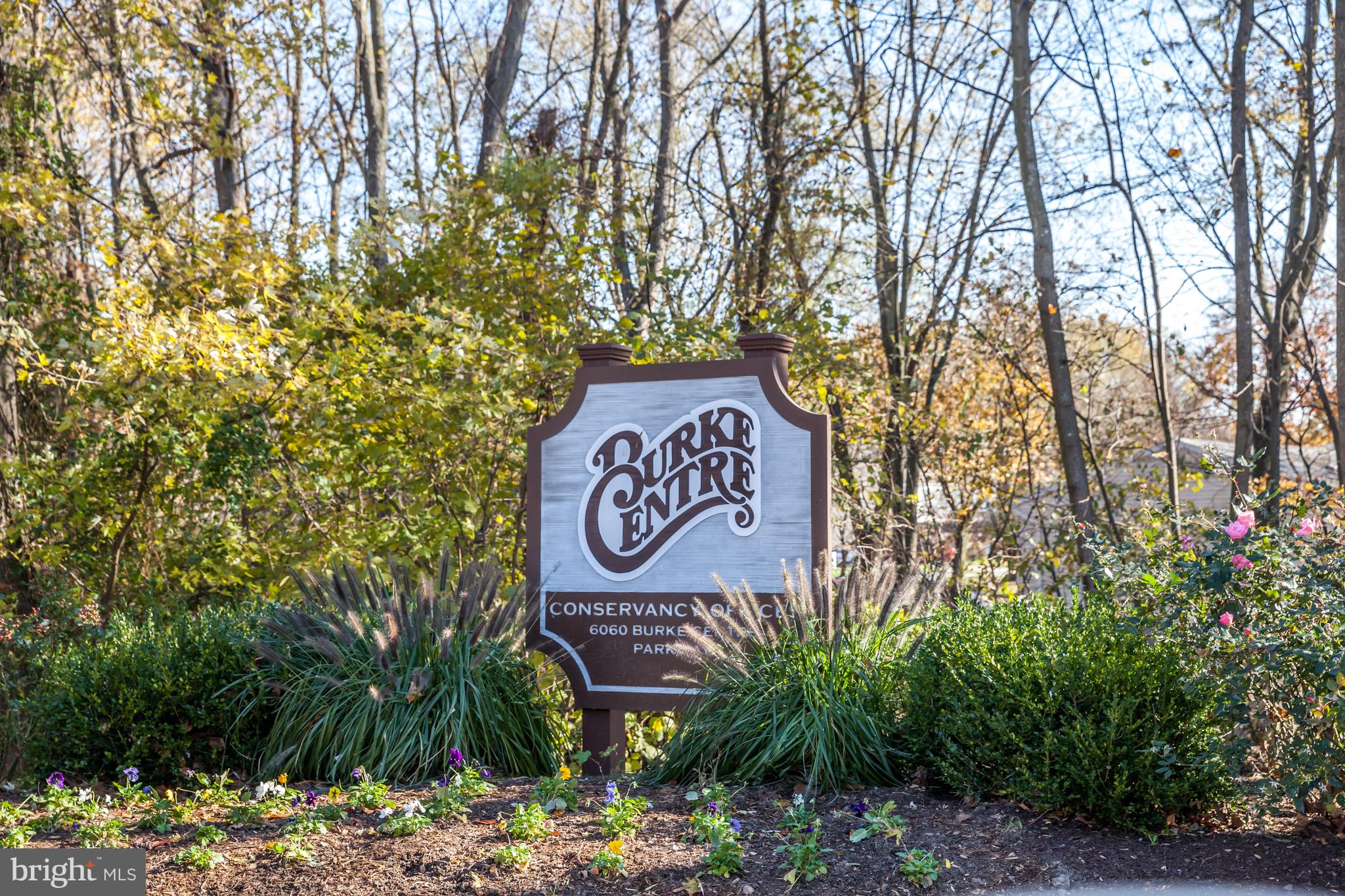 PEPPER TREE - Residential