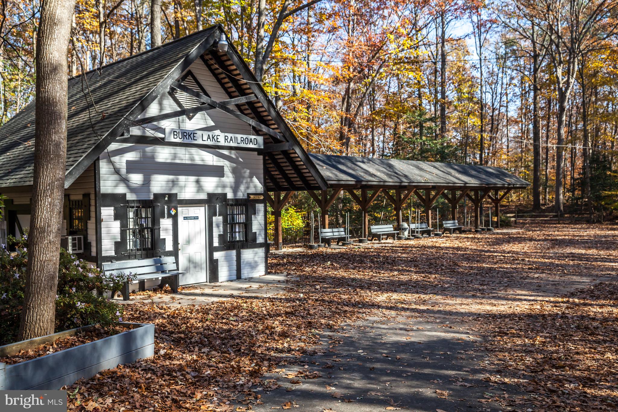 PEPPER TREE - Residential