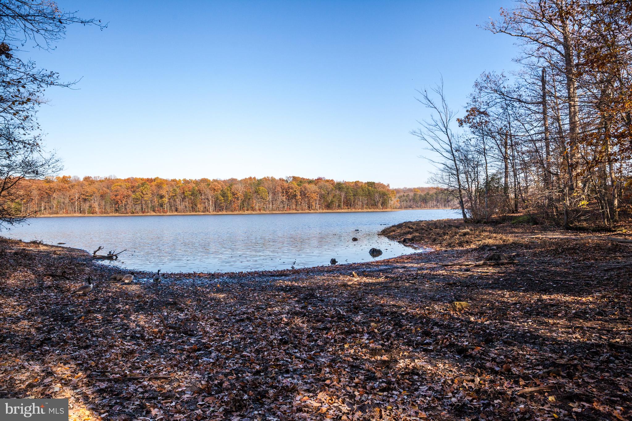 PEPPER TREE - Residential