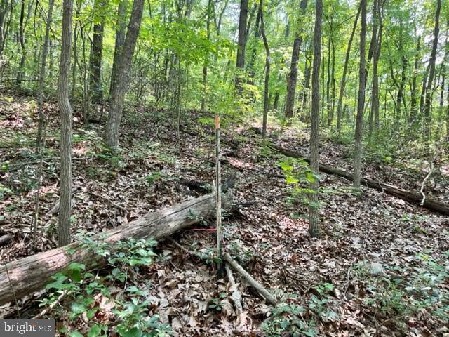 2016 VAUGHN SUMMIT ROAD