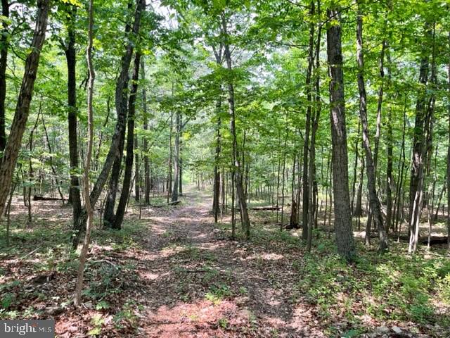 NONE AVAILABLE - Land