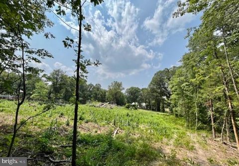 Vacant Land For Sale - 2016 Vaughn Summit Road<br/> LURAY, VA 22835