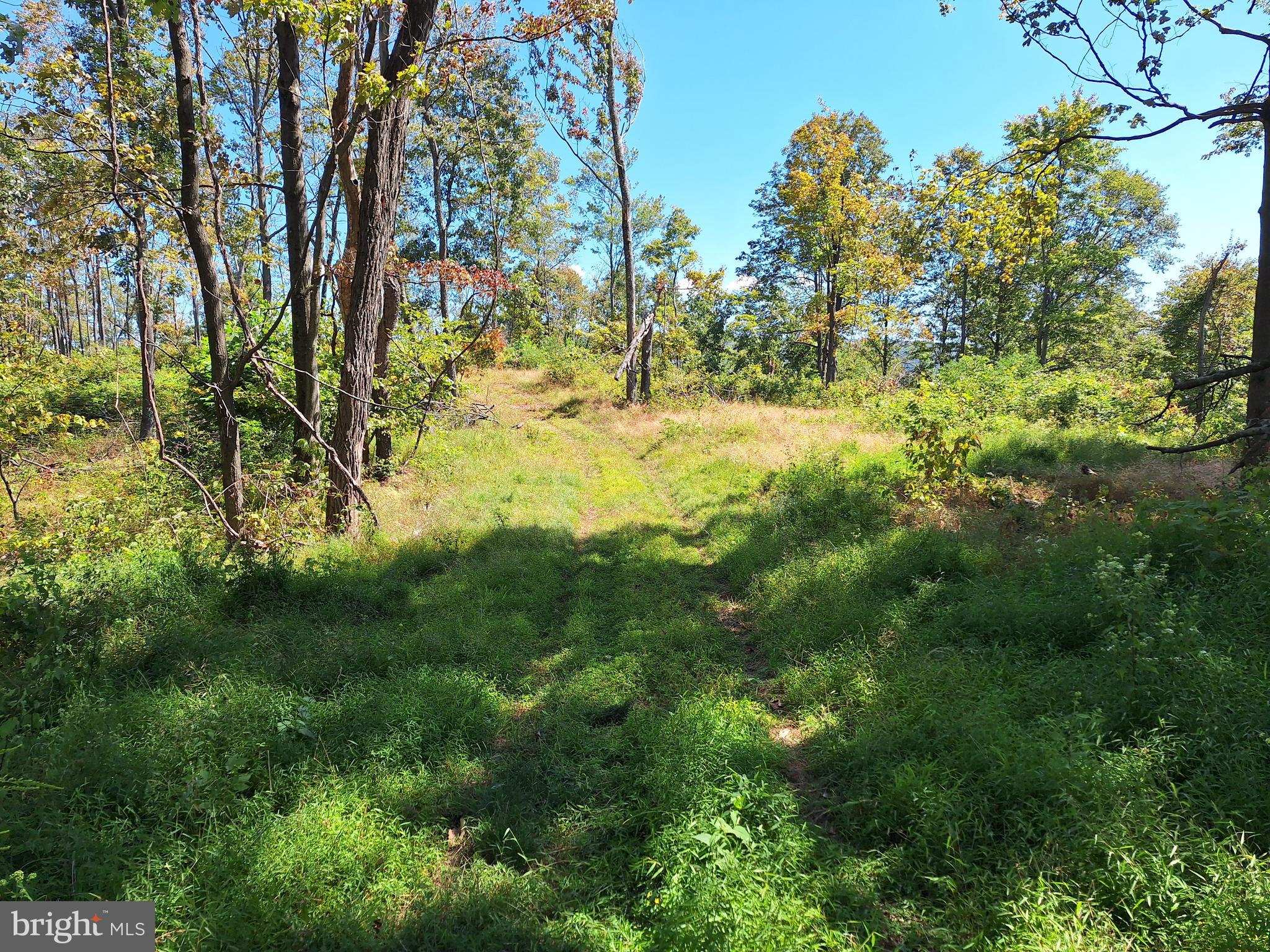 TIGER VALLEY ROAD