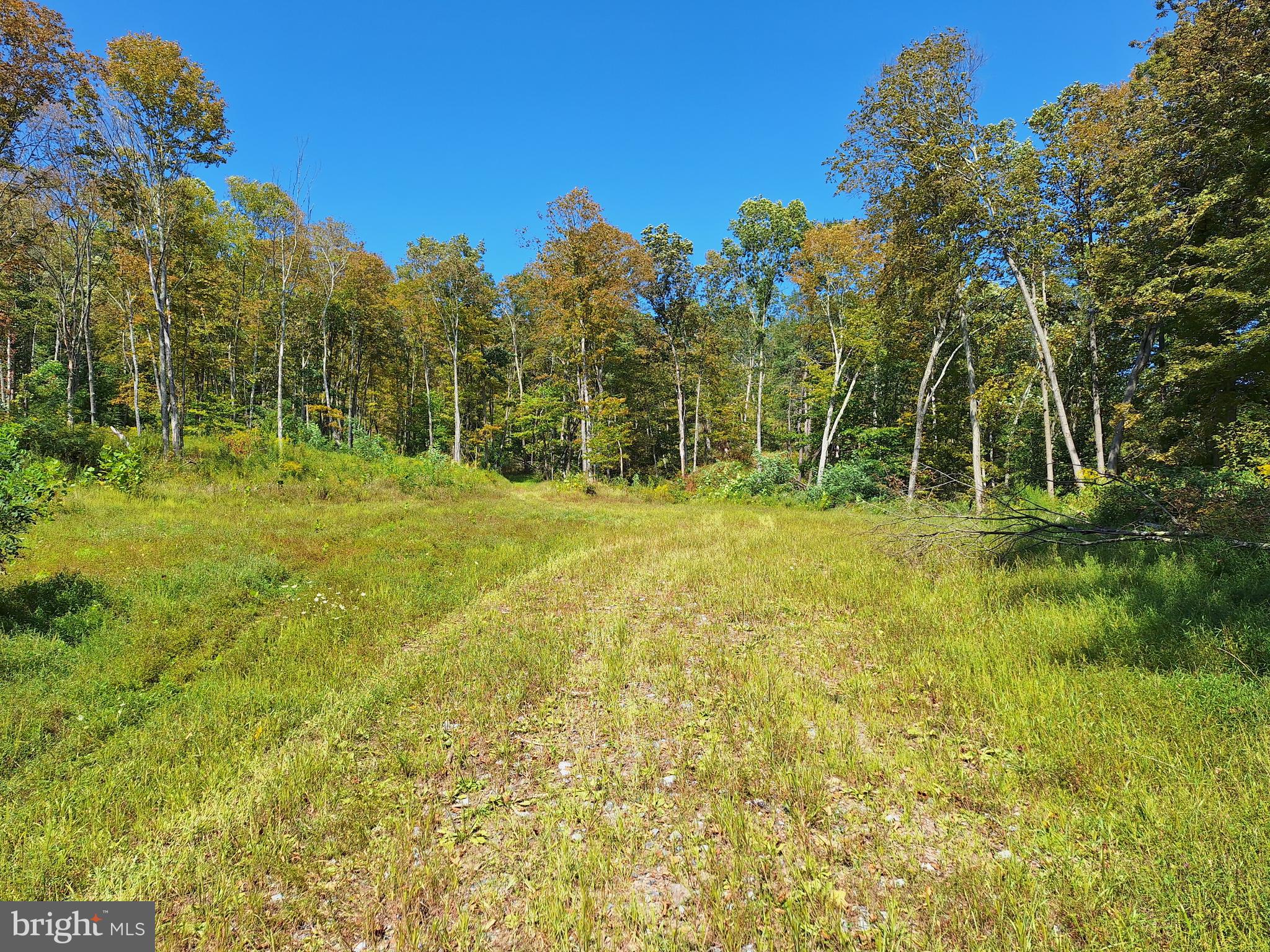 TIGER VALLEY ROAD