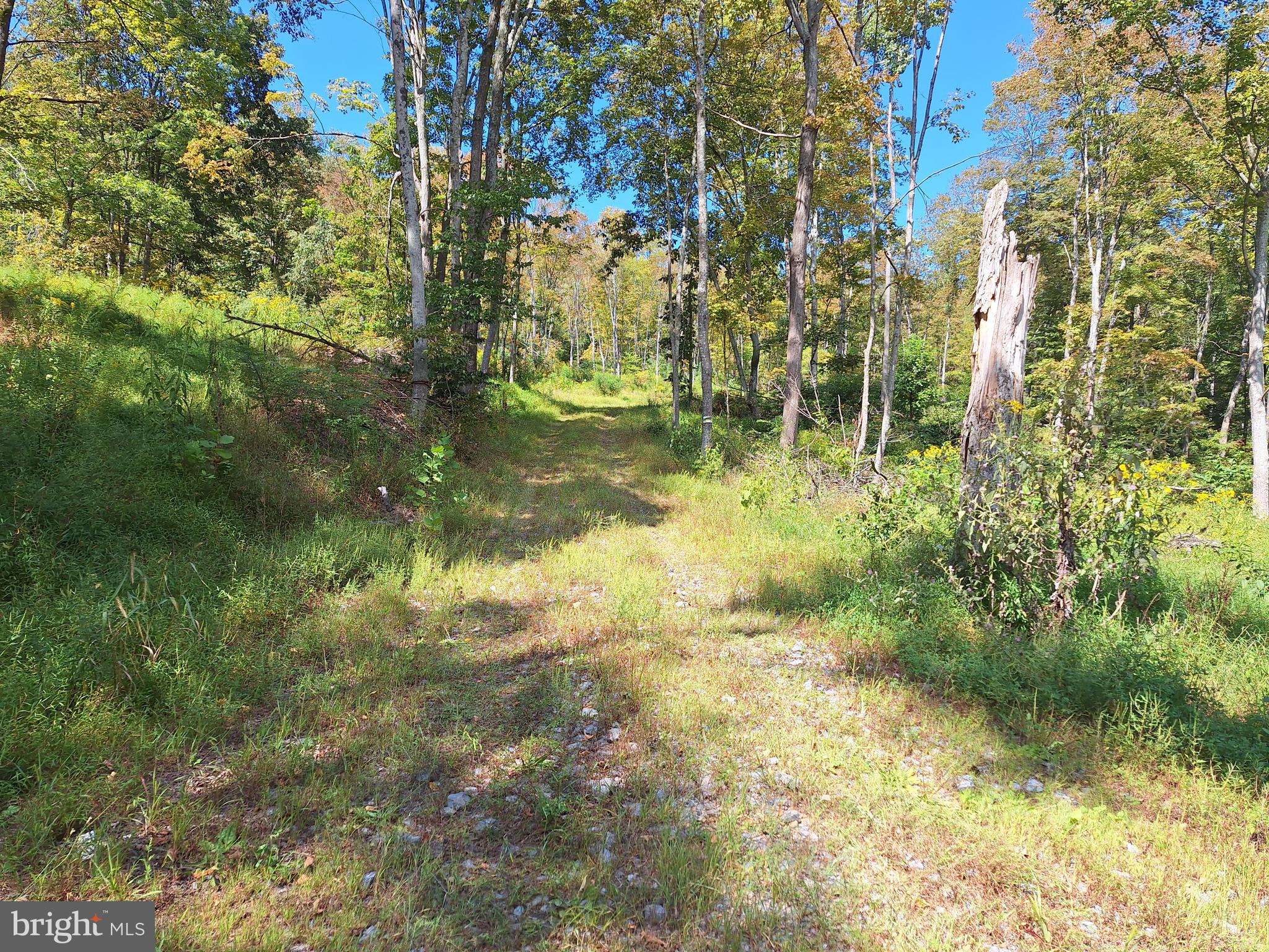 TIGER VALLEY ROAD