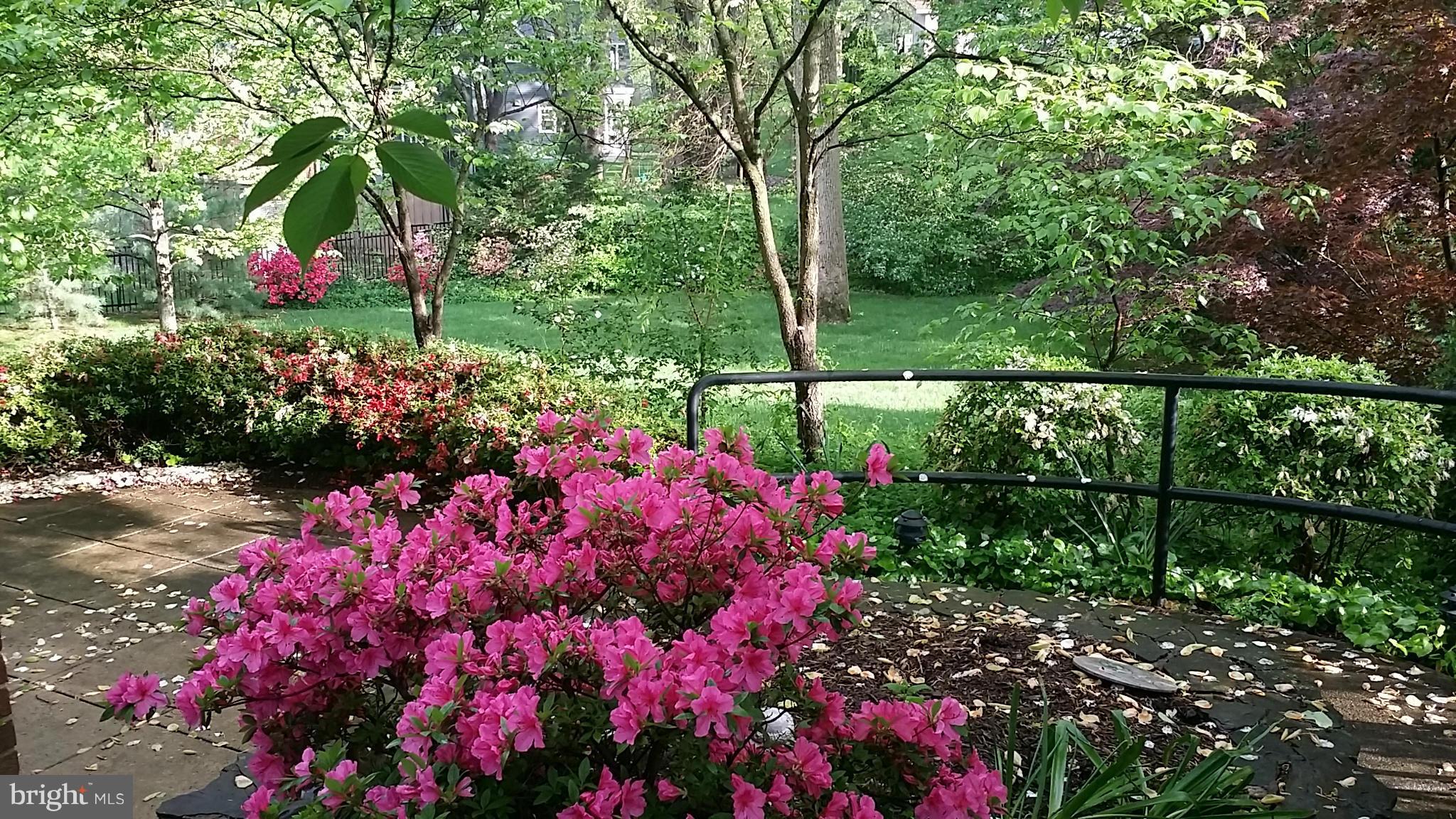 CRESCENT HILLS - Residential