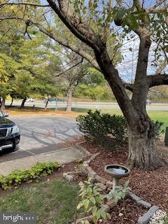 PRINCETON SQUARE PLAT FO - Residential