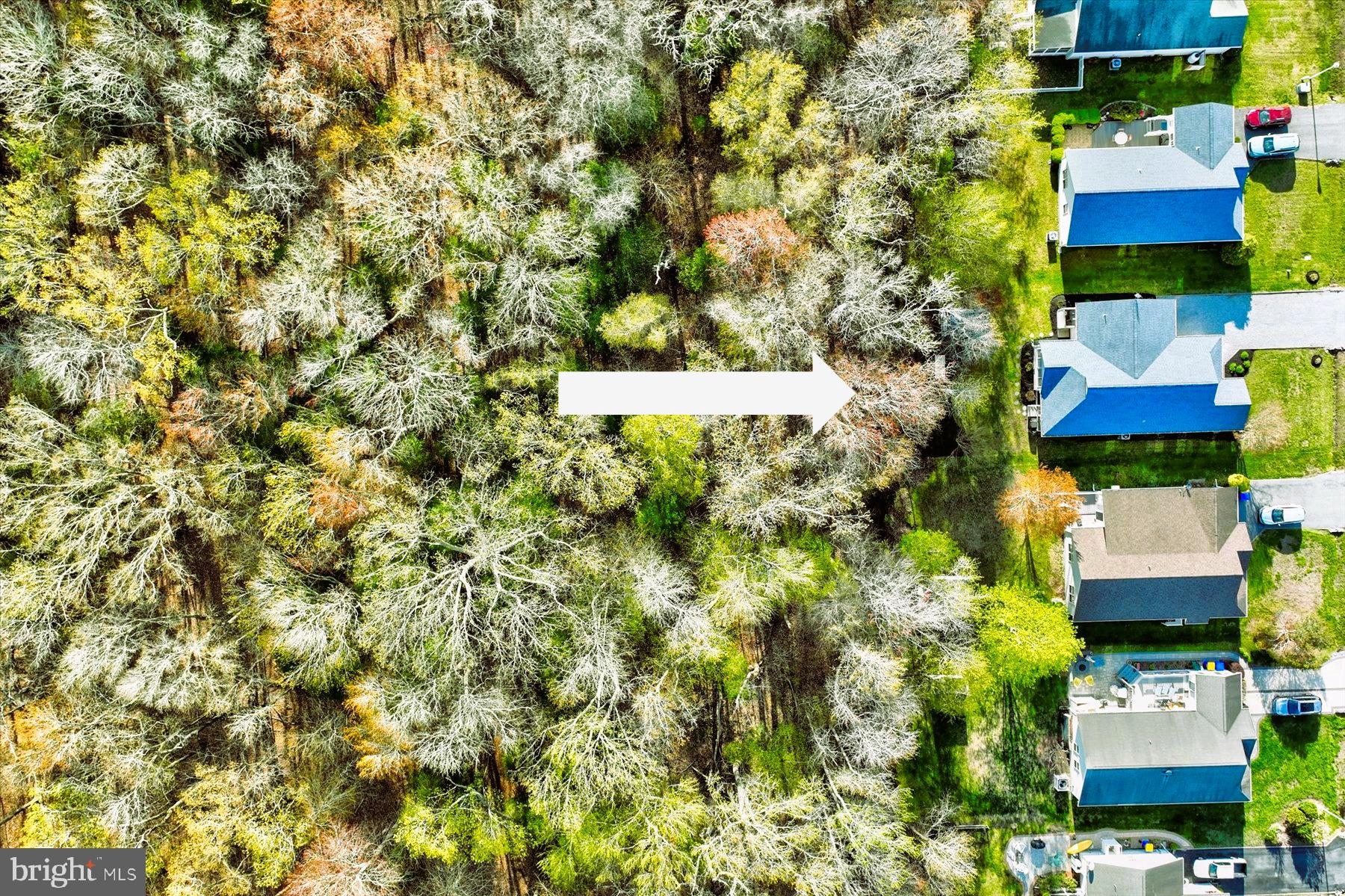 BETHANY MEADOWS - Residential