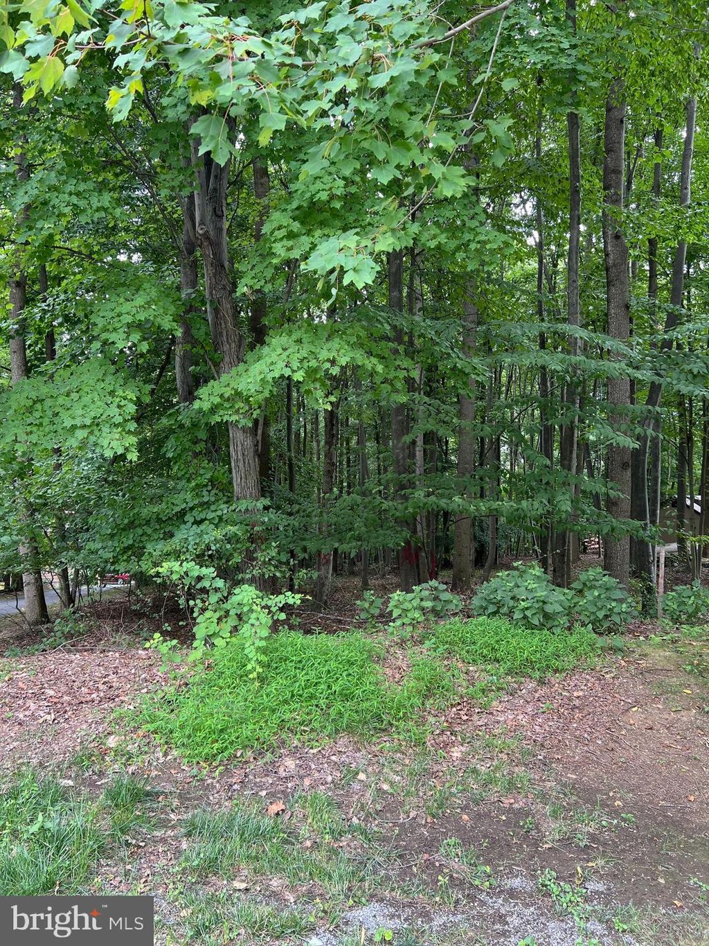 Photo of 34 Fawn Court, Conestoga, PA 17516 (MLS # PALA2053934)