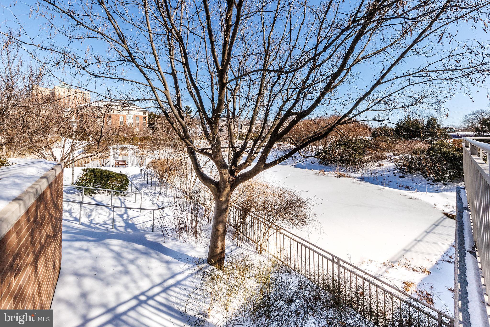 CARLTON HOUSE - Residential