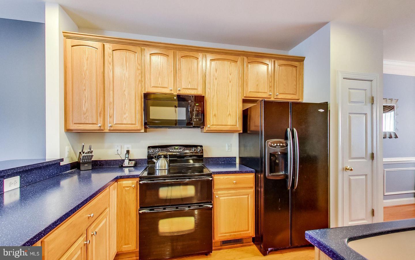 3928 BRYANT PARK CIRCLE