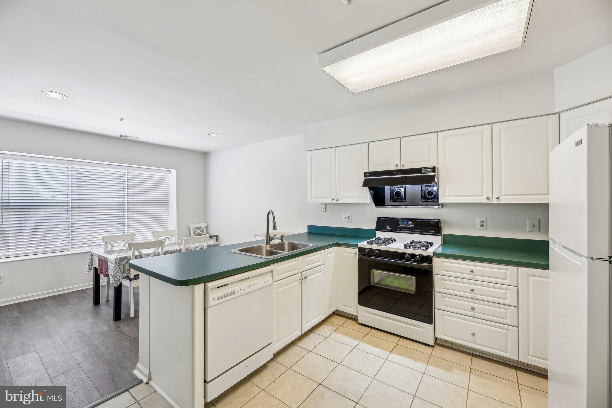 405 PLUMBRIDGE COURT 204