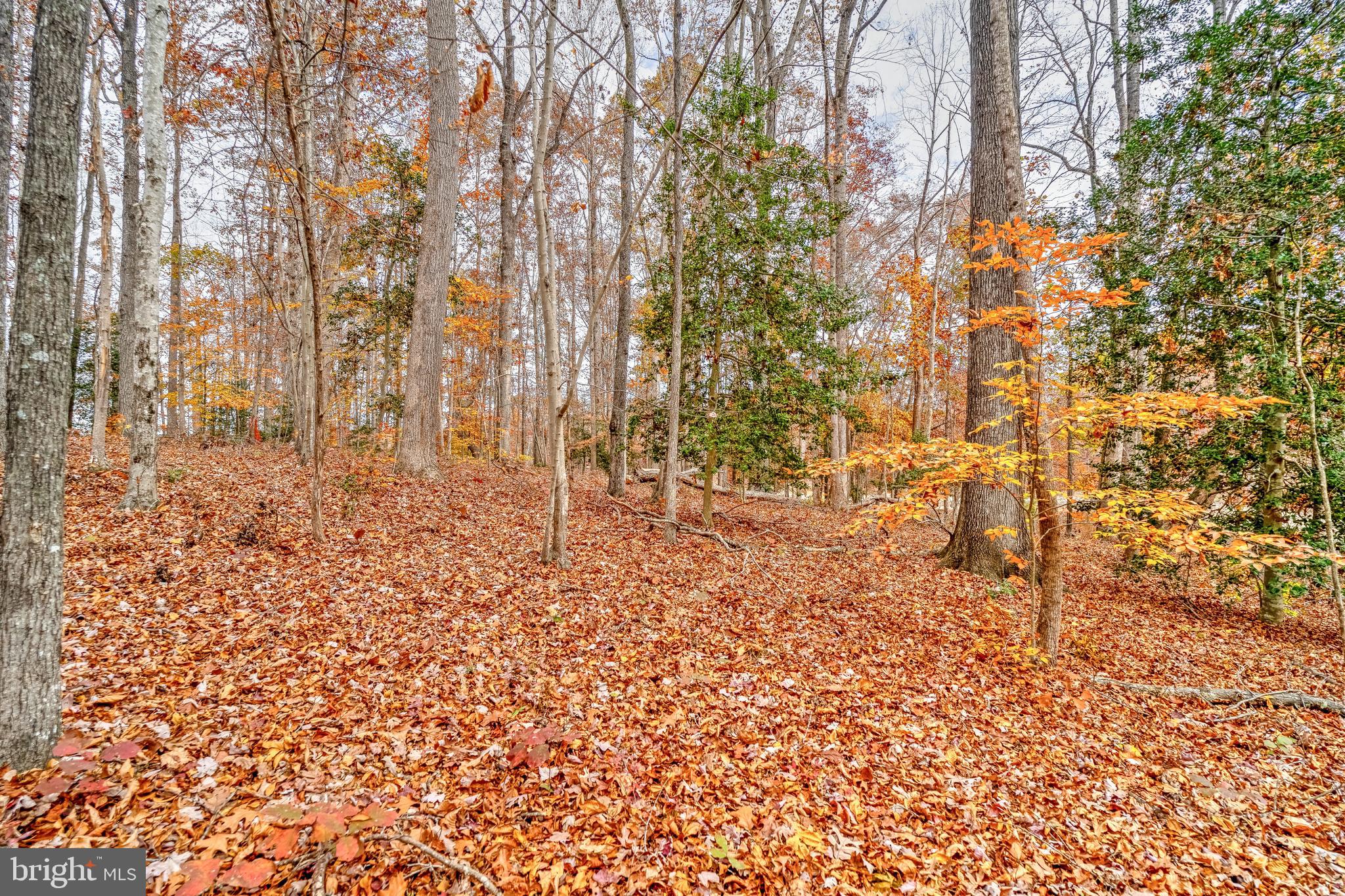 MINERAL SPRINGS PLANTATION - Land