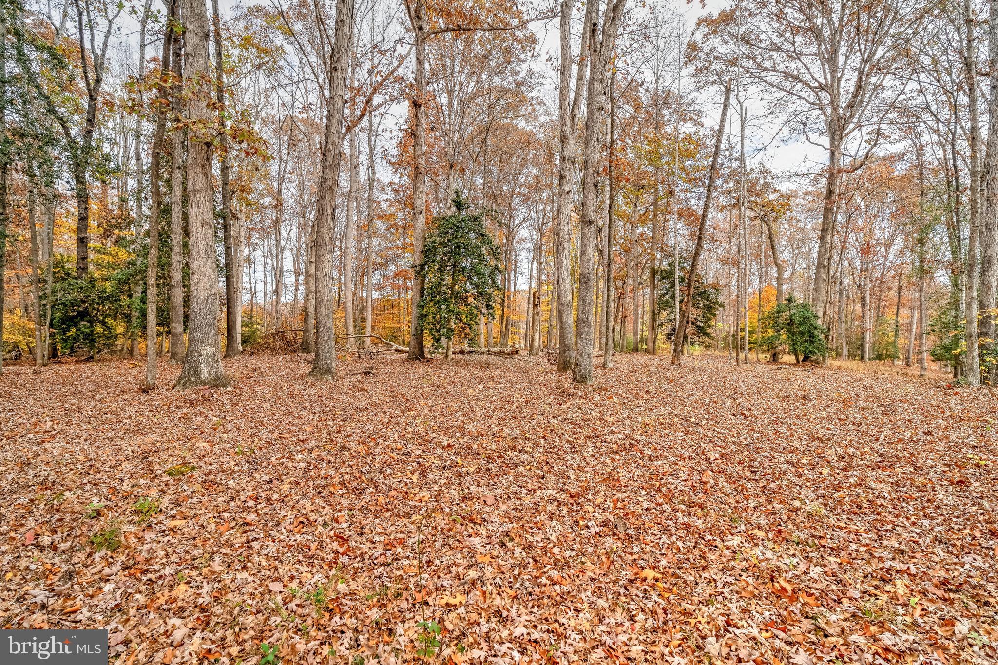 MINERAL SPRINGS PLANTATION - Land