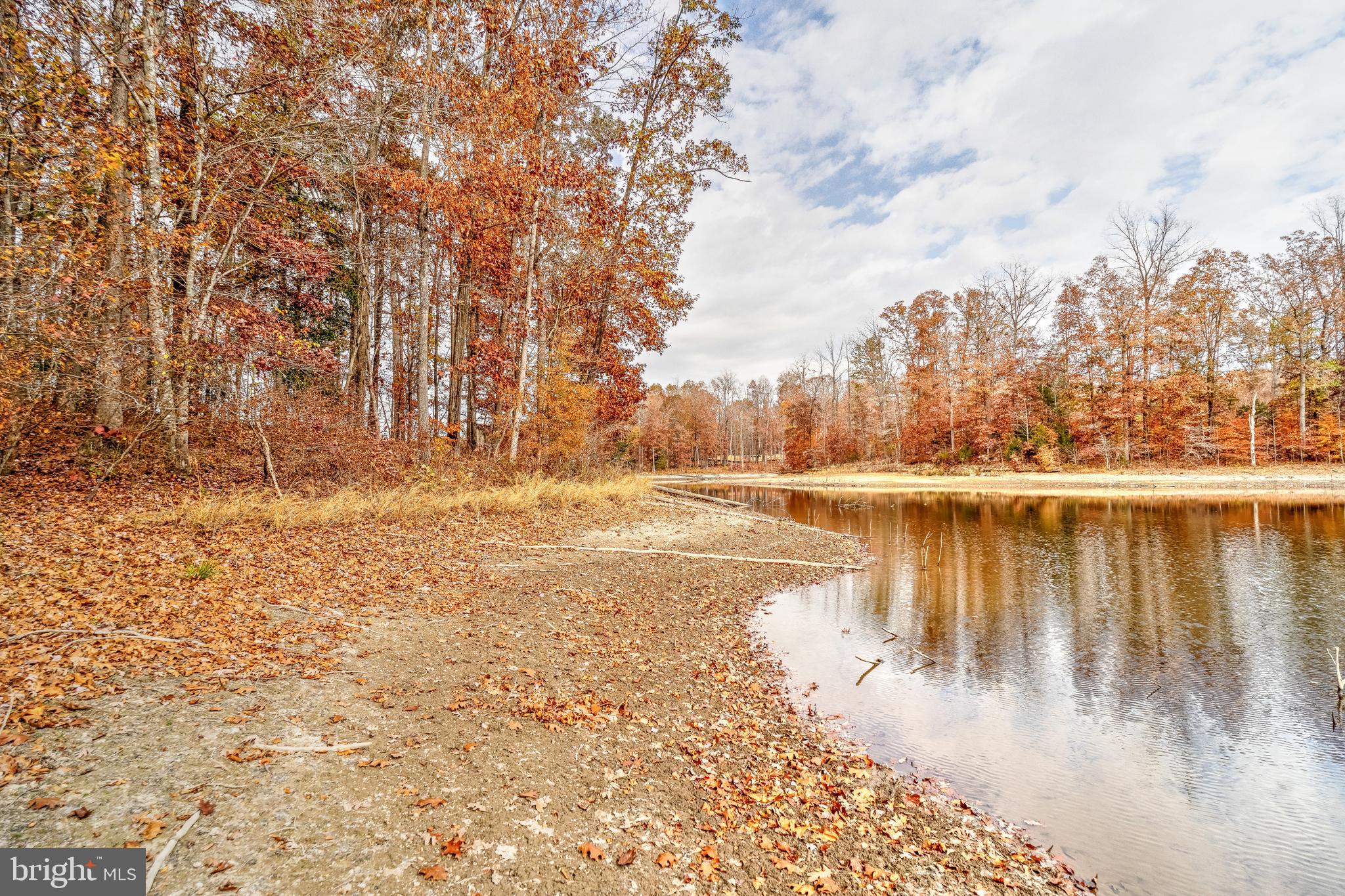 MINERAL SPRINGS PLANTATION - Land