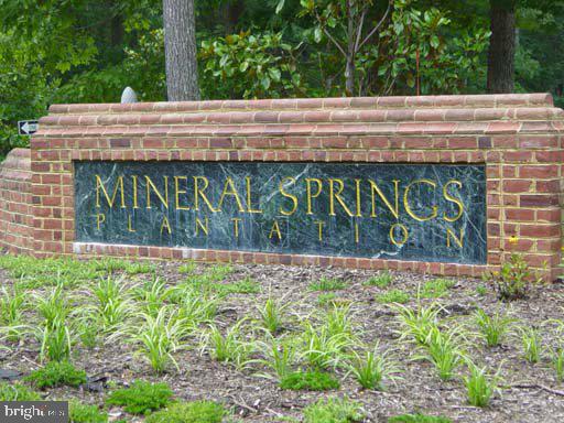 MINERAL SPRINGS PLANTATION - Land