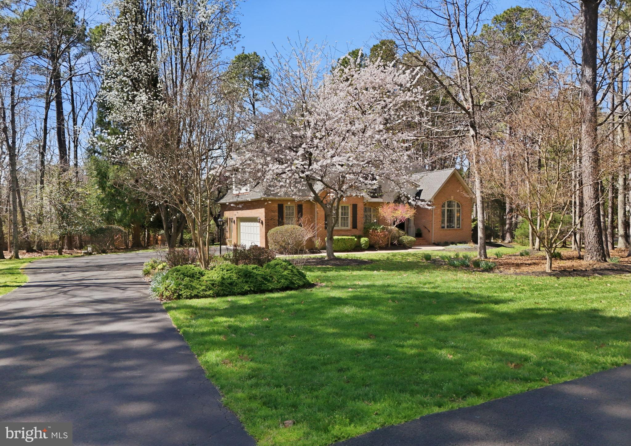 11608 LONGSTREET DRIVE