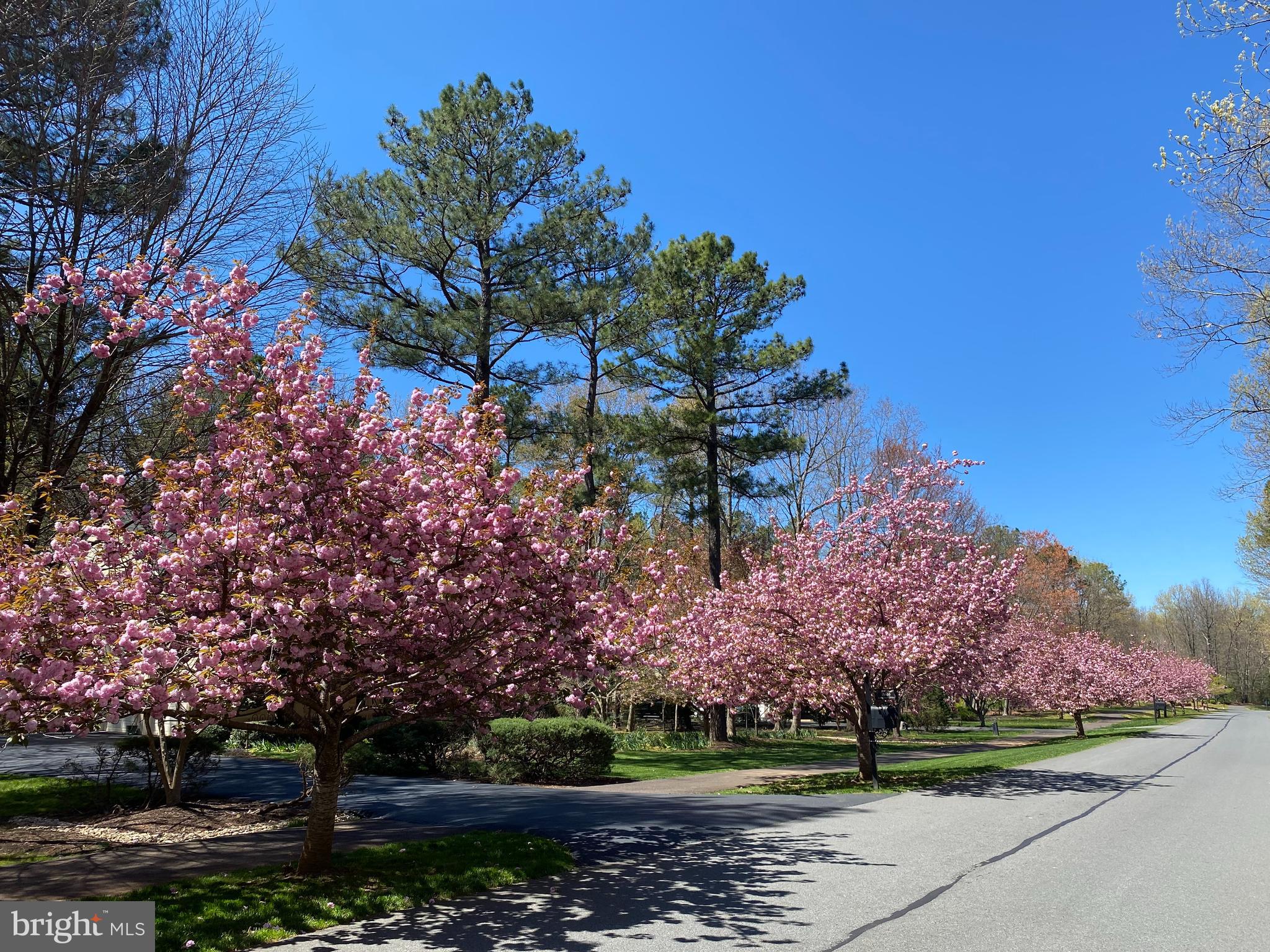 FAWN LAKE - Residential