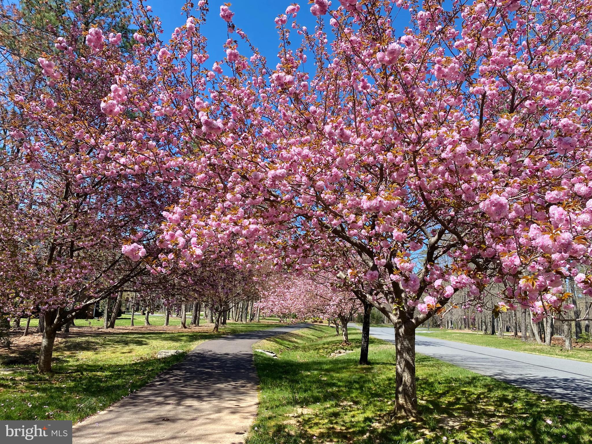 FAWN LAKE - Residential