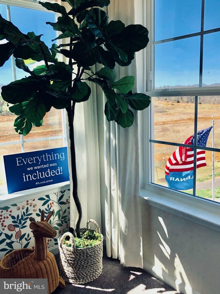 NORBORNE GLEBE - Residential