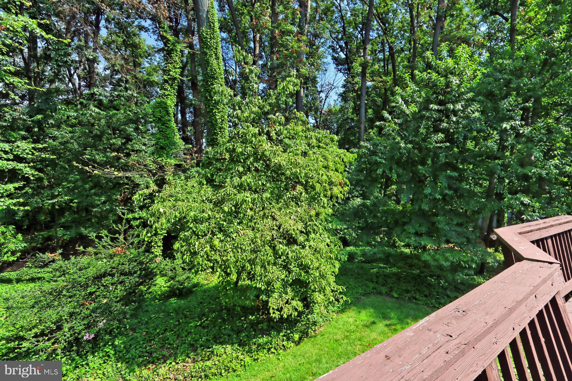 SLEEPY HOLLOW WOODS - Residential