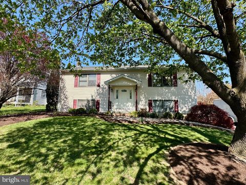 213 KILLDEER ROAD STEPHENS CITY VA 22655