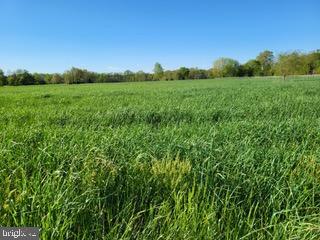 679 OAK HILL SCHOOL ROAD