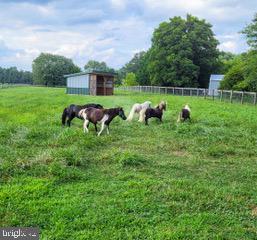 679 OAK HILL SCHOOL ROAD