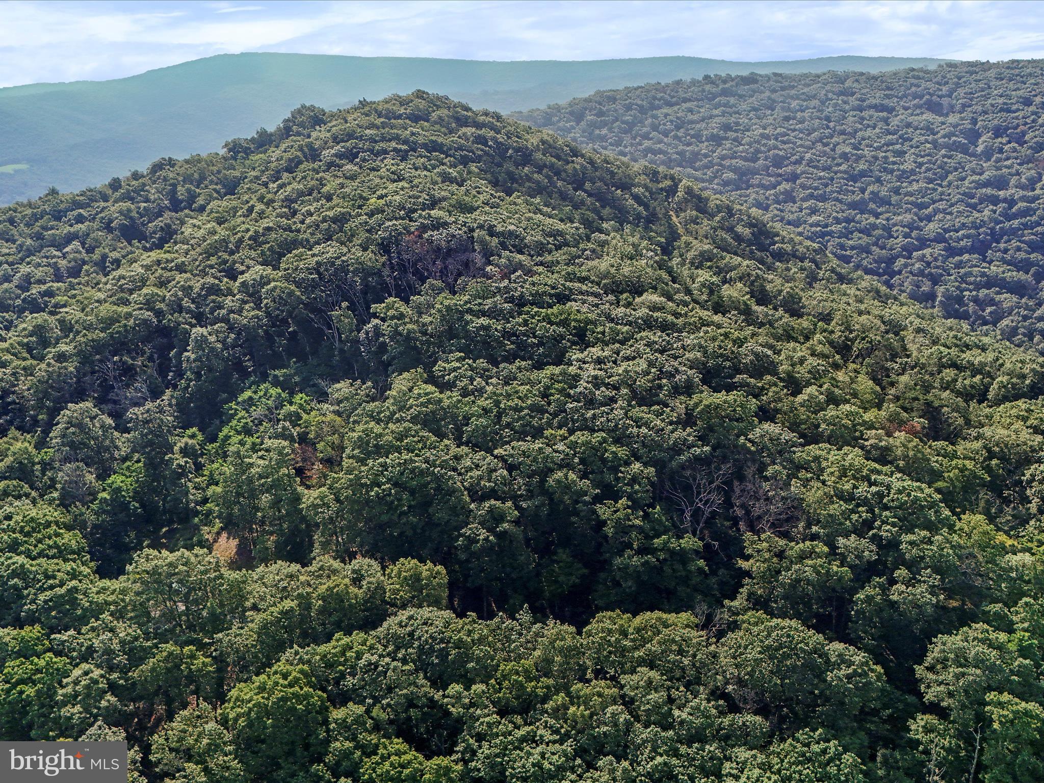 OAKMONT - Residential