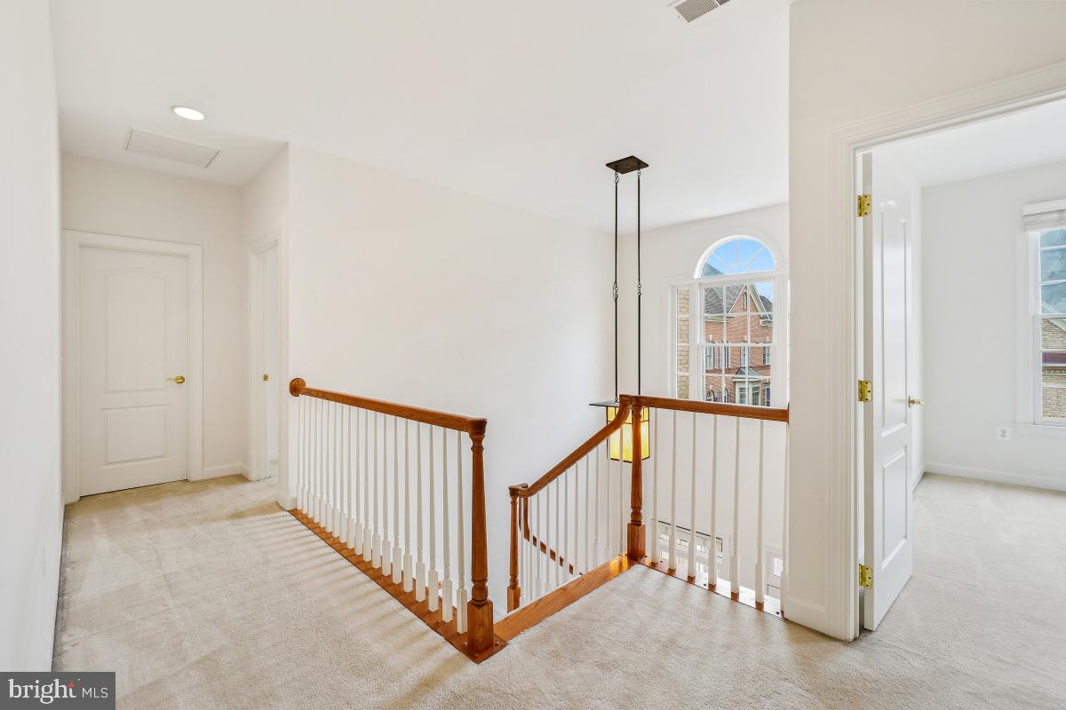 RUGBY ROAD - Residential