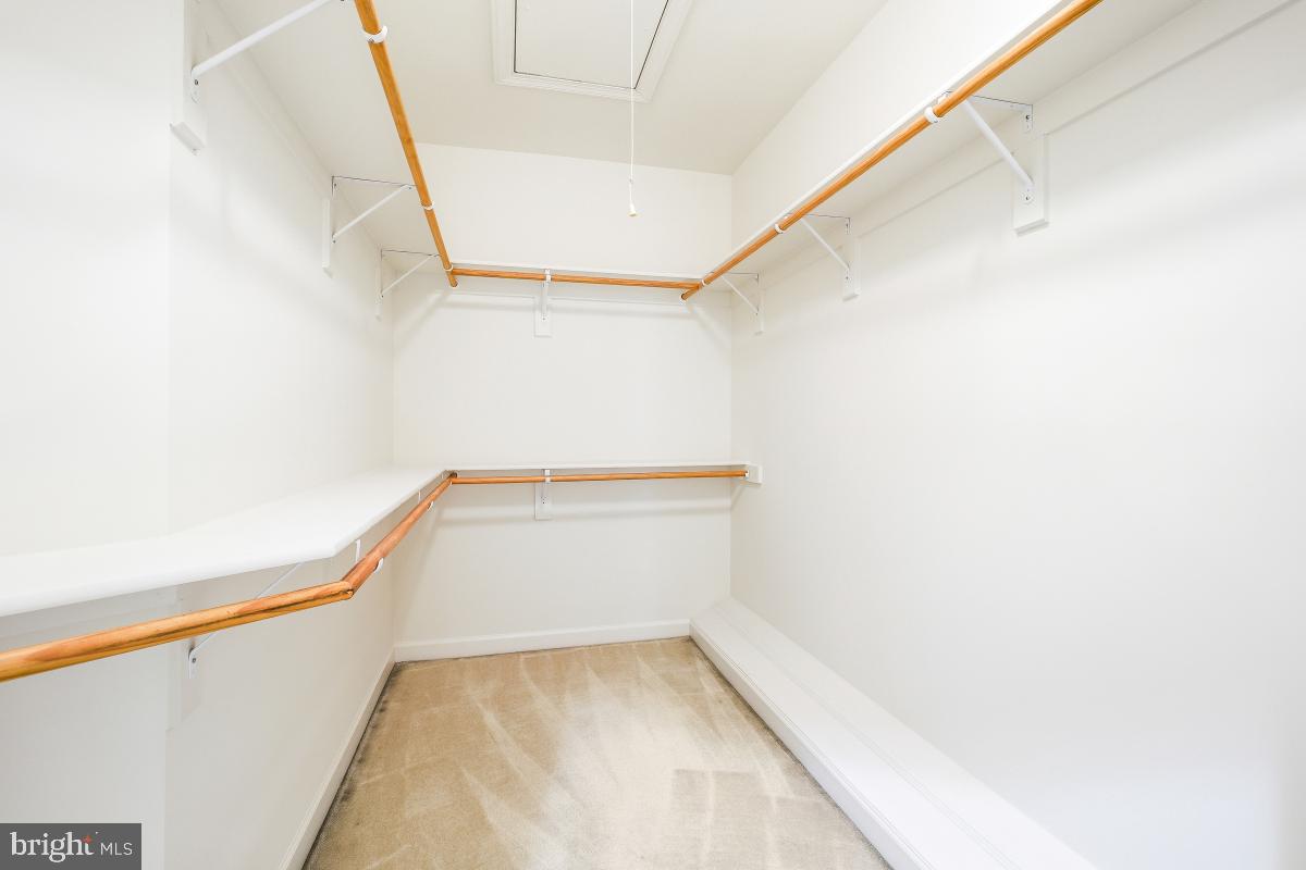 RUGBY ROAD - Residential