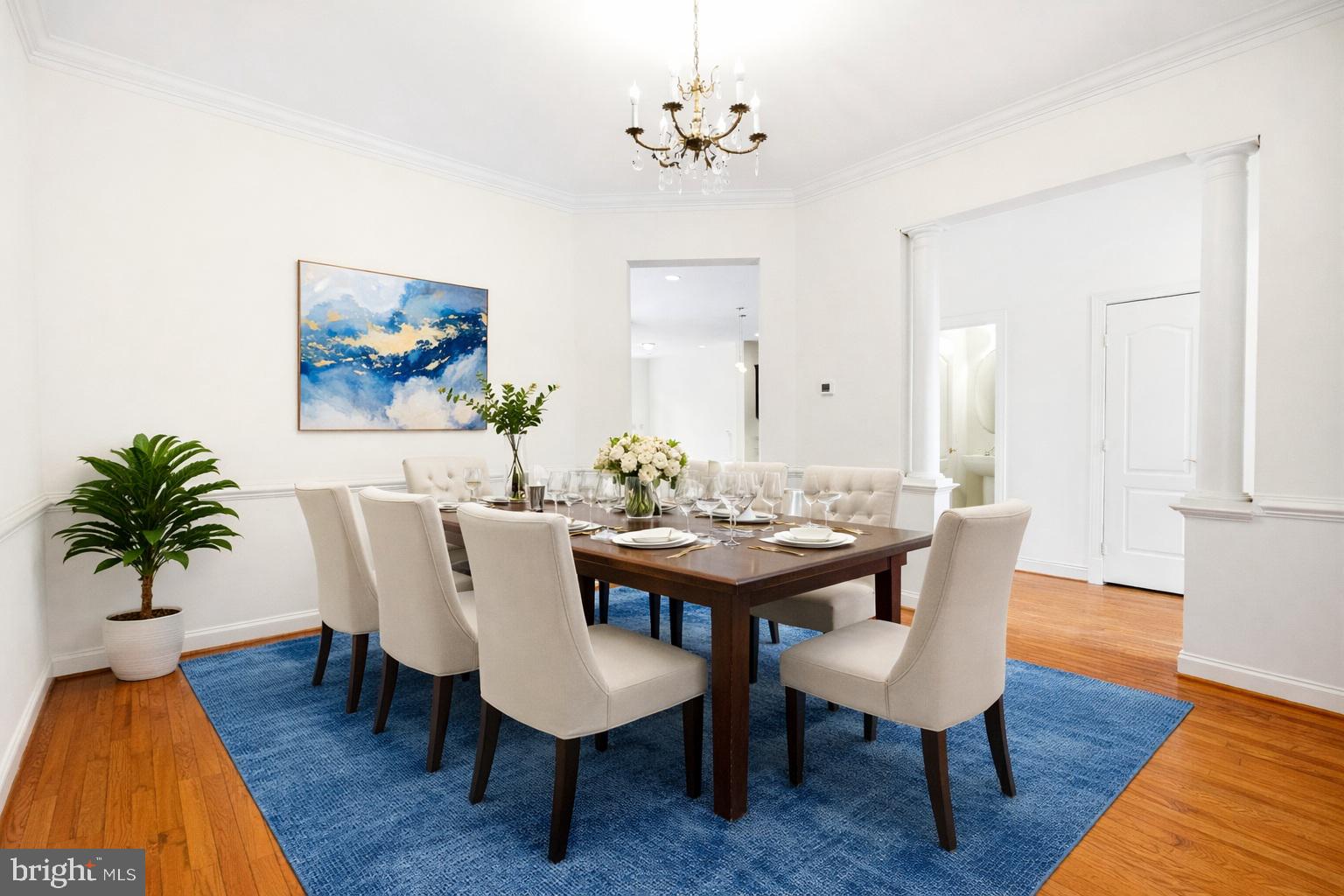 RUGBY ROAD - Residential