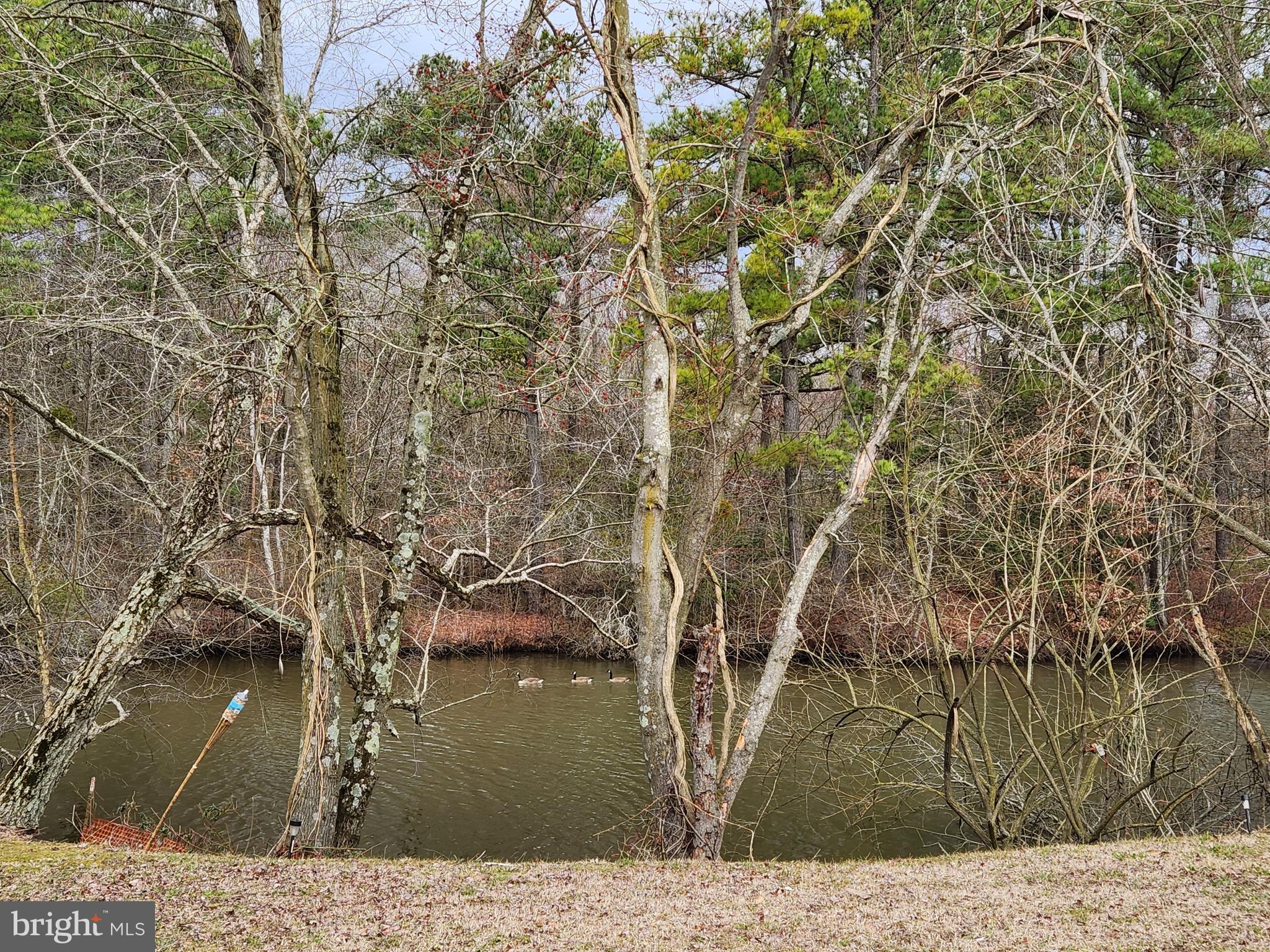 FEDERALSBURG - Residential