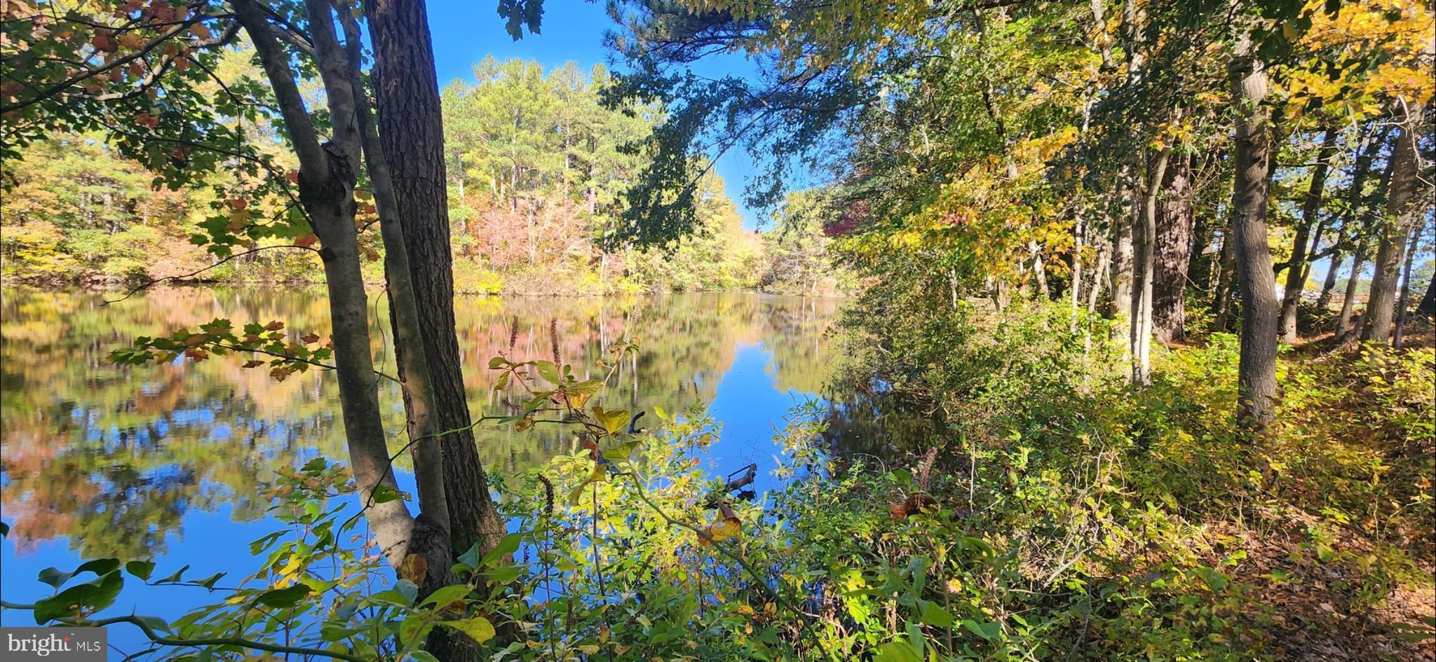 FEDERALSBURG - Residential