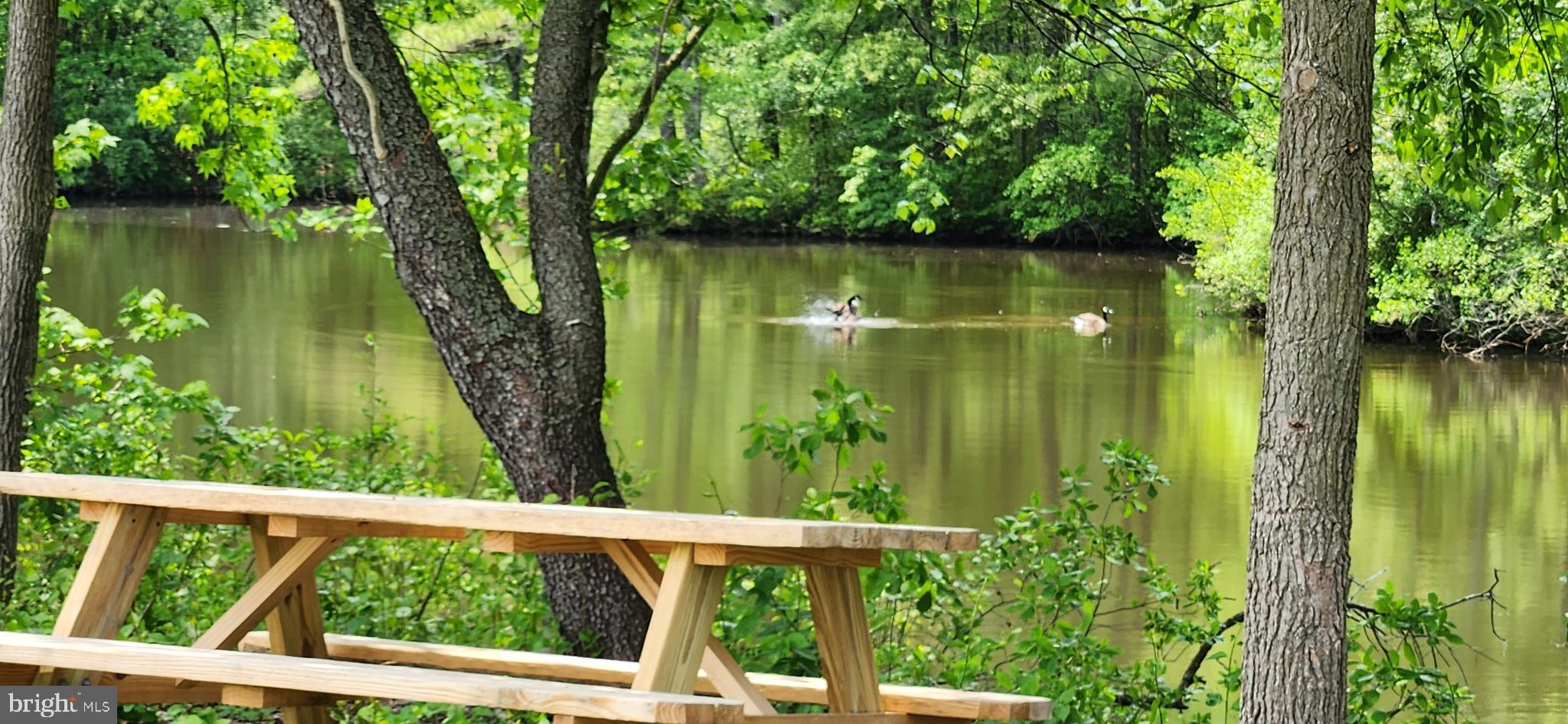 FEDERALSBURG - Residential