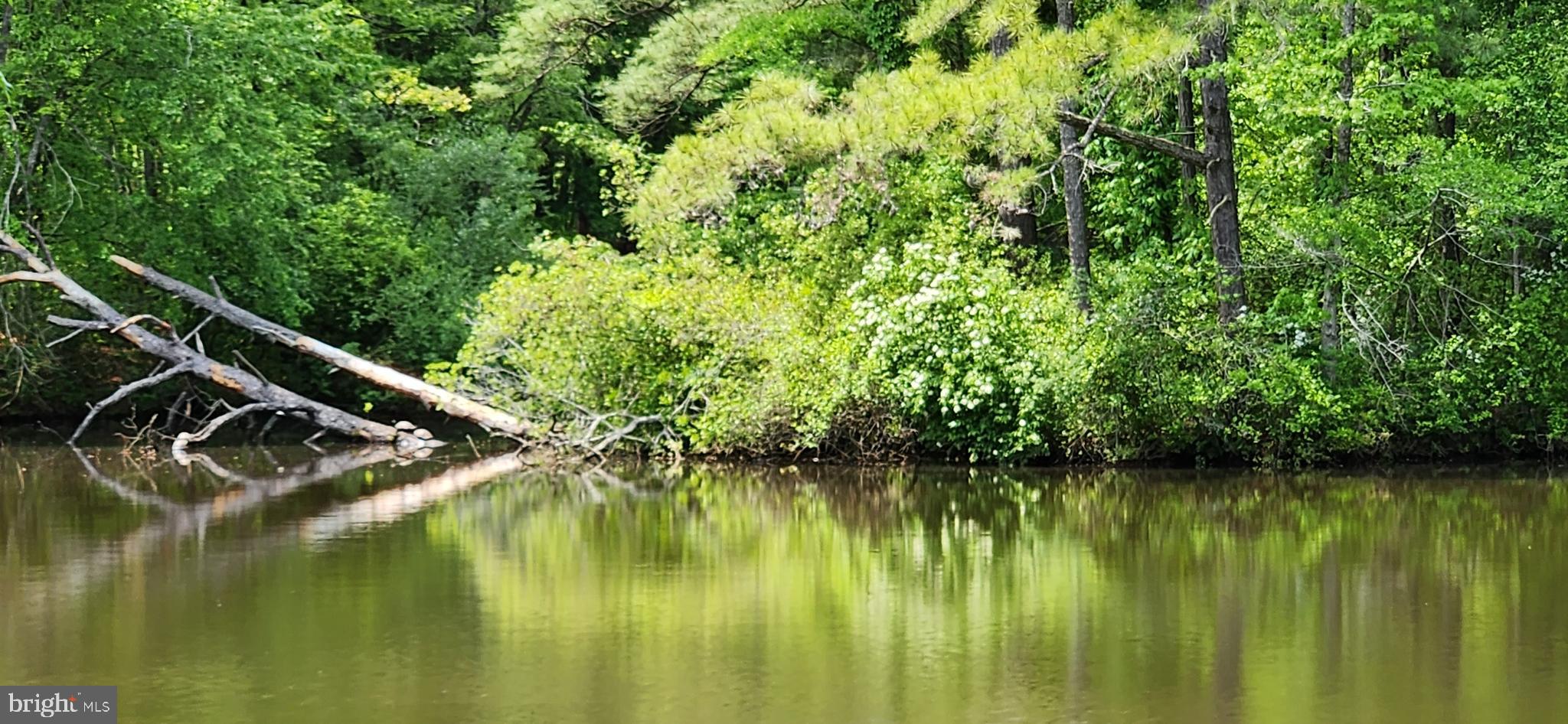 FEDERALSBURG - Residential