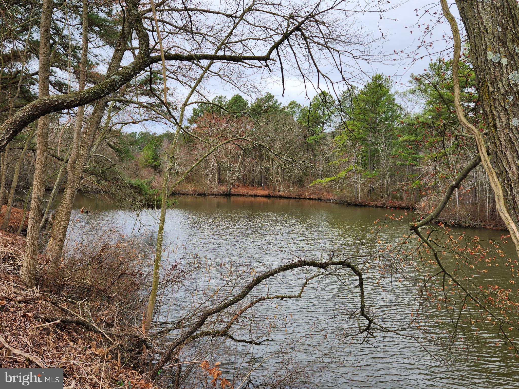 FEDERALSBURG - Residential