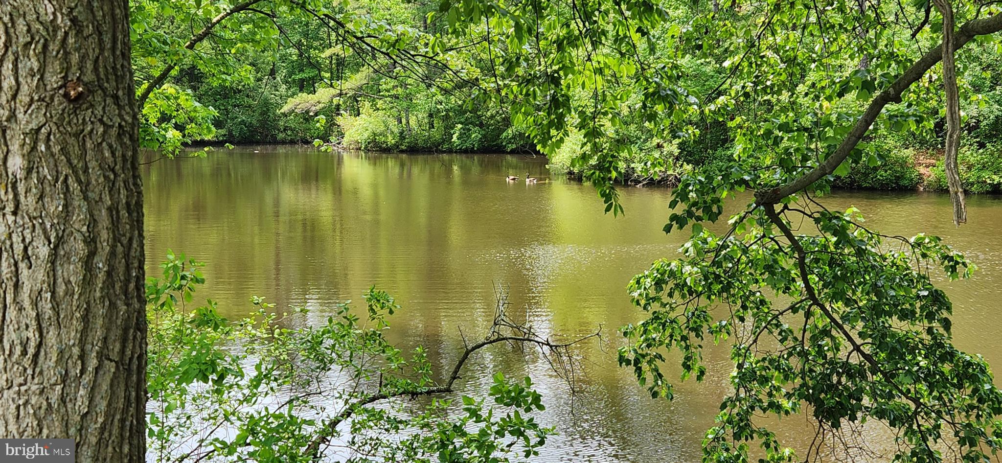 FEDERALSBURG - Residential
